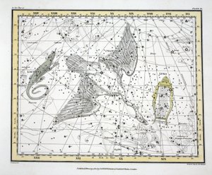 The Constellations (Plate XI) Cygnus, Lacerta and Via Lactea, from 